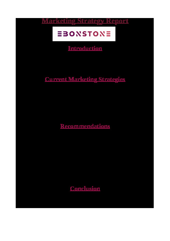 Marketing Strategy Report