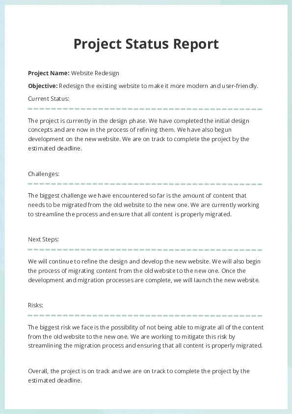 Project Status Report